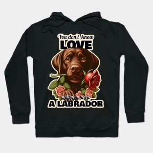 Labrador Valentine's day Hoodie